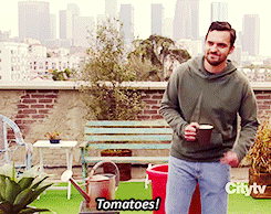 Nick Miller slides to the side to reveal his plotted tomato plant