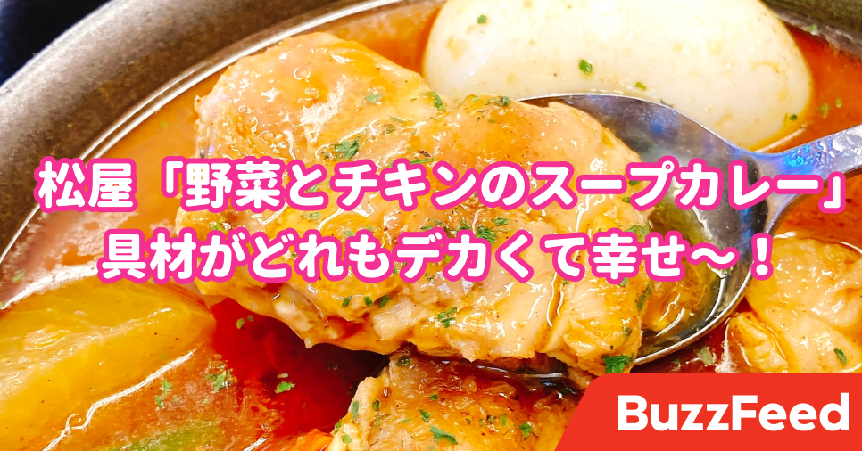 だからサービスしすぎだって 松屋の てんこ盛りカレー ビジュアルでもう優勝だわ