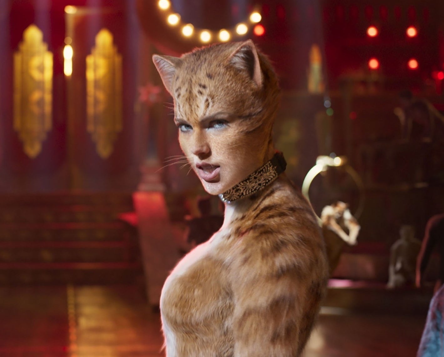 Taylor Swift as a Cat