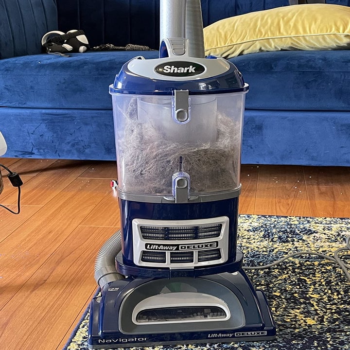 11 Best Cheap Upright Vacuums Under 200 Feared By Dirt