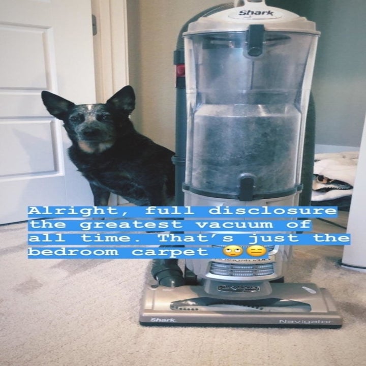 reviewer photo with caption "alright, full disclosure the greatest vacuum of all time. that's just the bedroom carpet"