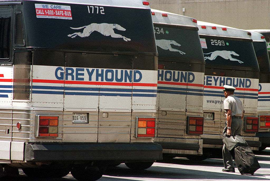 four greyhound buses