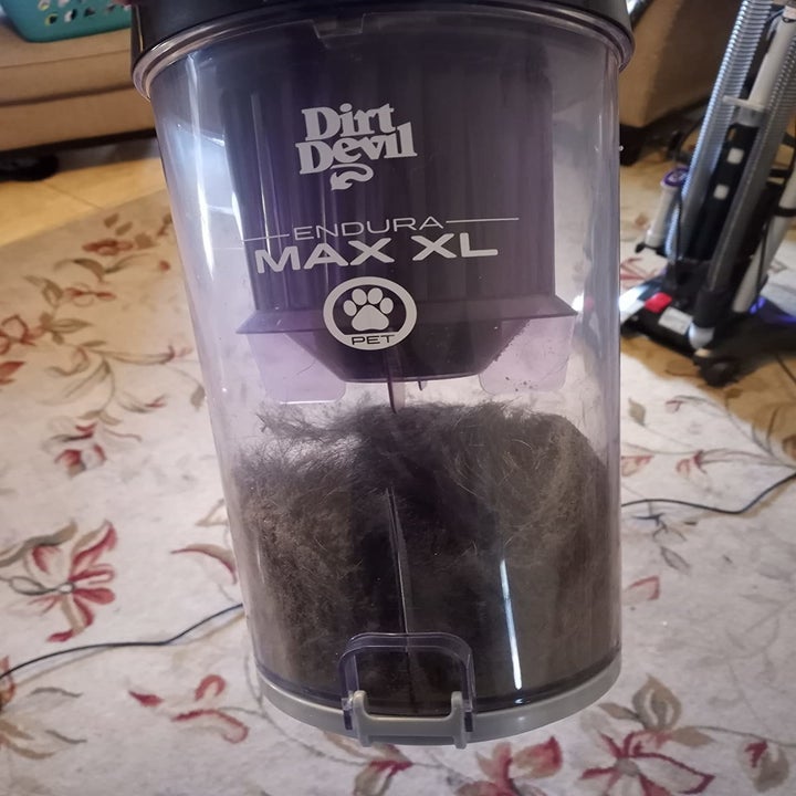 11 Best Cheap Upright Vacuums Under 200 Feared By Dirt