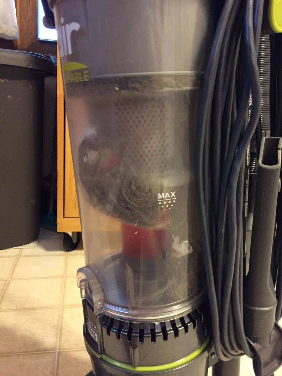 11 Best Cheap Upright Vacuums Under $200 Feared By Dirt