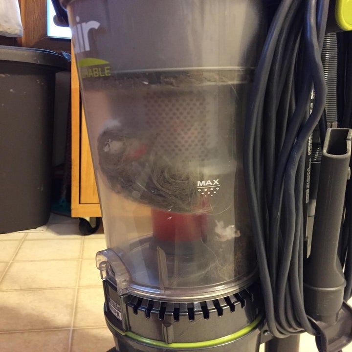 11 Best Cheap Upright Vacuums Under 200 Feared By Dirt