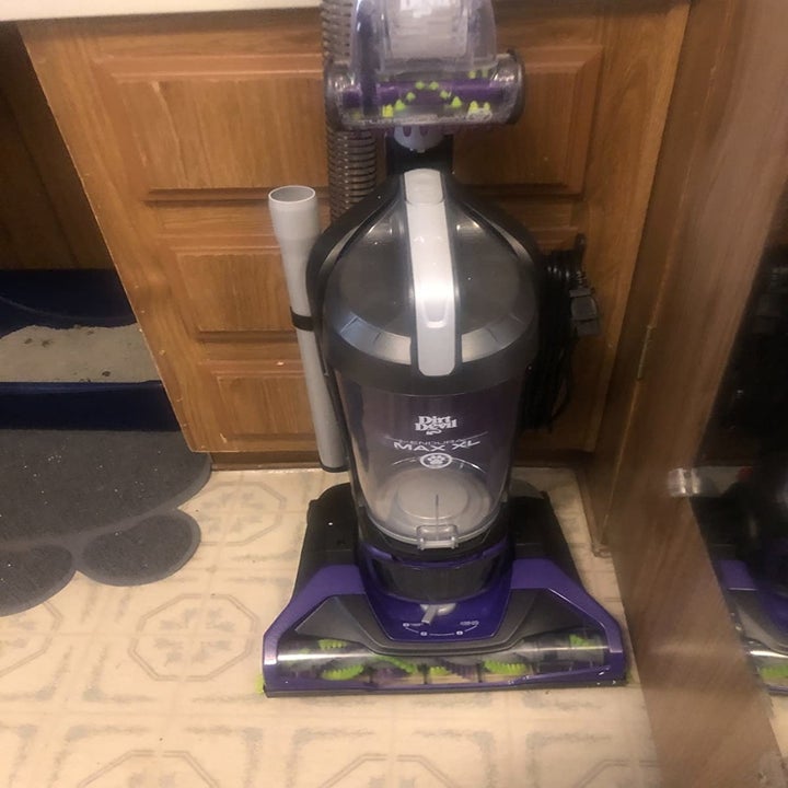 11 Best Cheap Upright Vacuums Under 200 Feared By Dirt