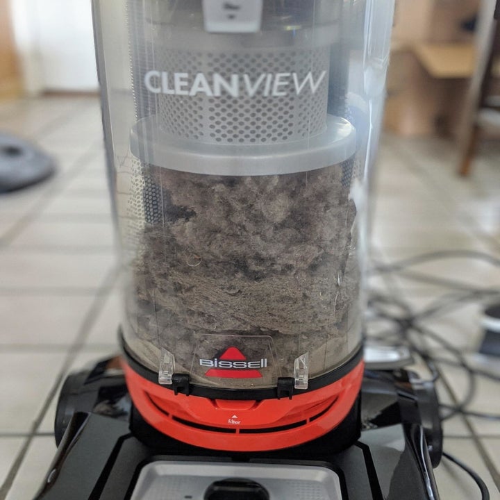 11 Best Cheap Upright Vacuums Under 200 Feared By Dirt