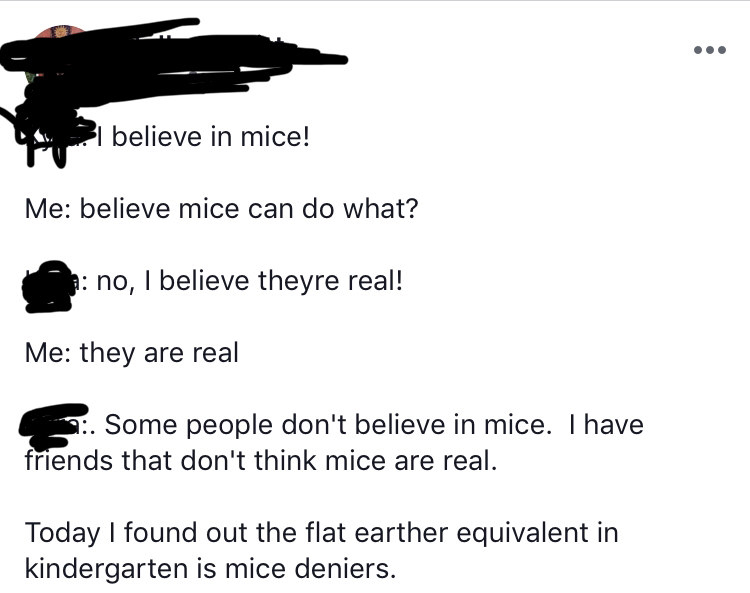 Kid says they believe mice are real but they have friends who don&#x27;t think mice exist