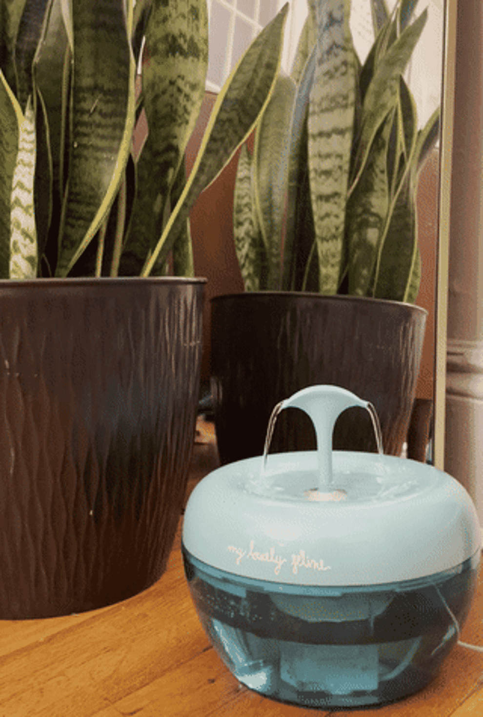 gif of the two-spout fountain in use beside a plant