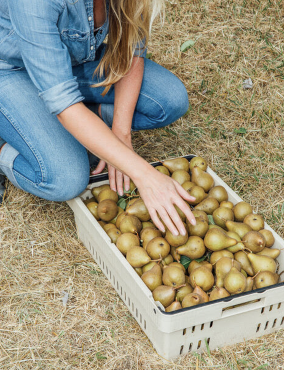 Woman crouching next to a box of organic pears.