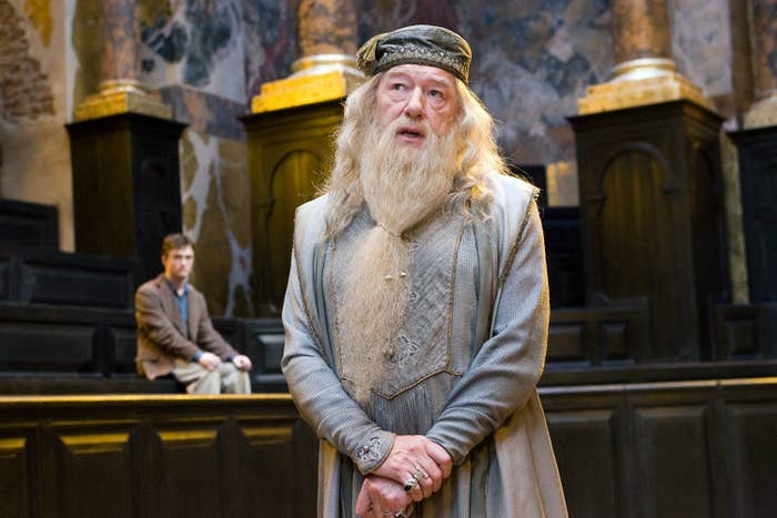 Dumbledore stands up and speaks to students