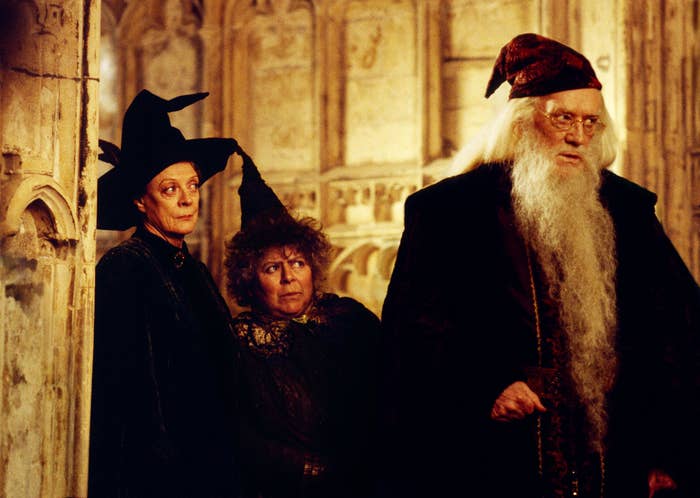 Dumbledore, played by Richard, stands with other Hogwarts teachers