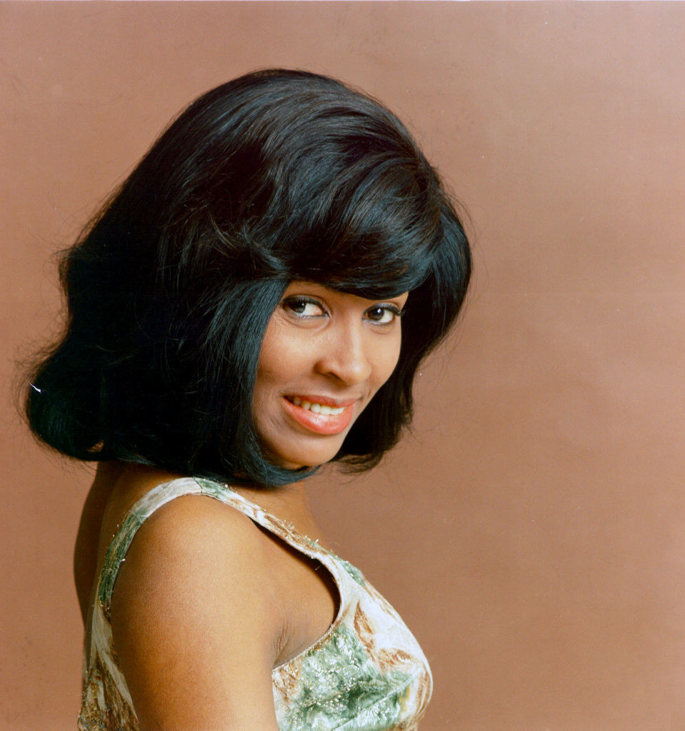 A portrait of Tina Turner