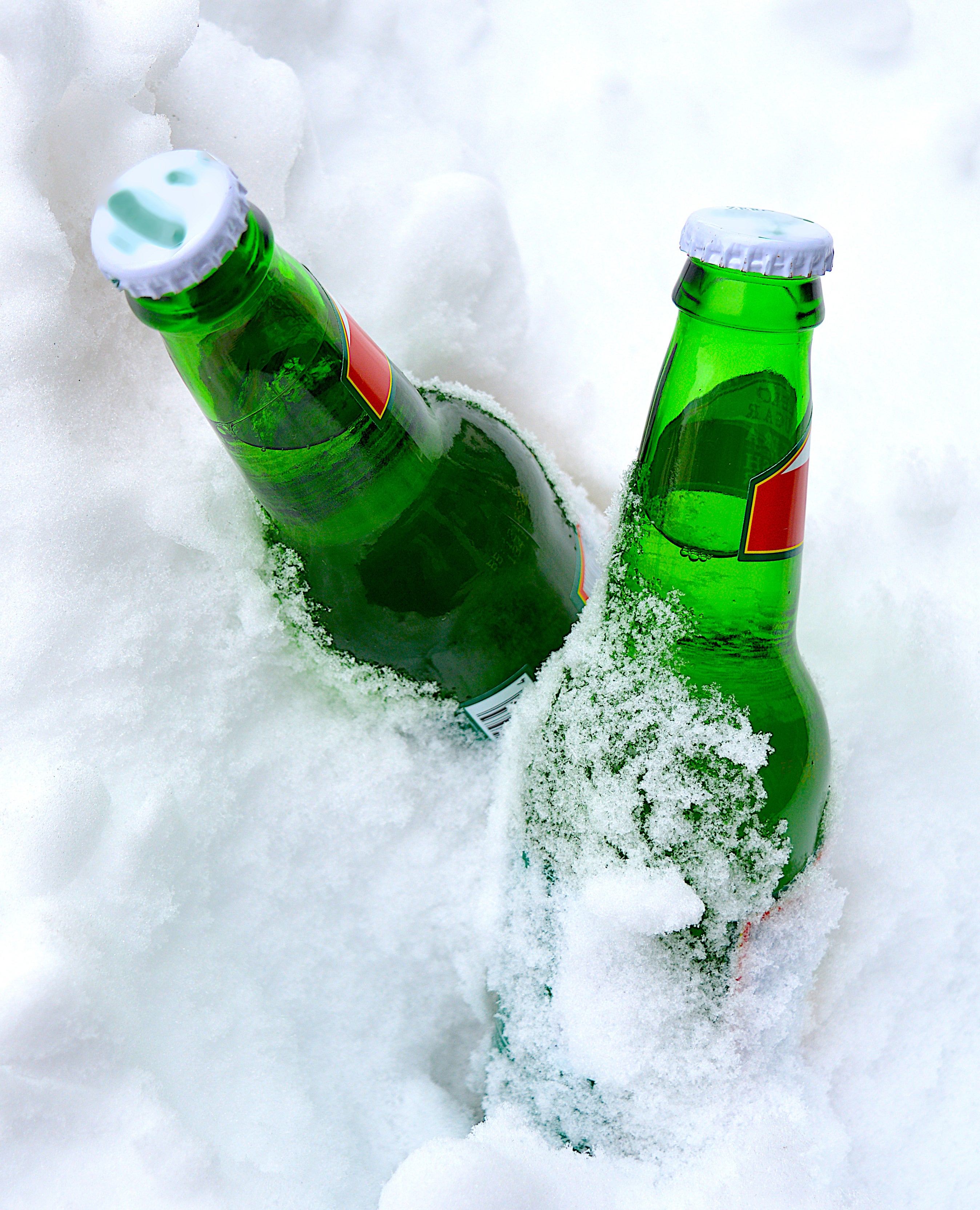 Two bottles of beer packed into snow to keep cool.