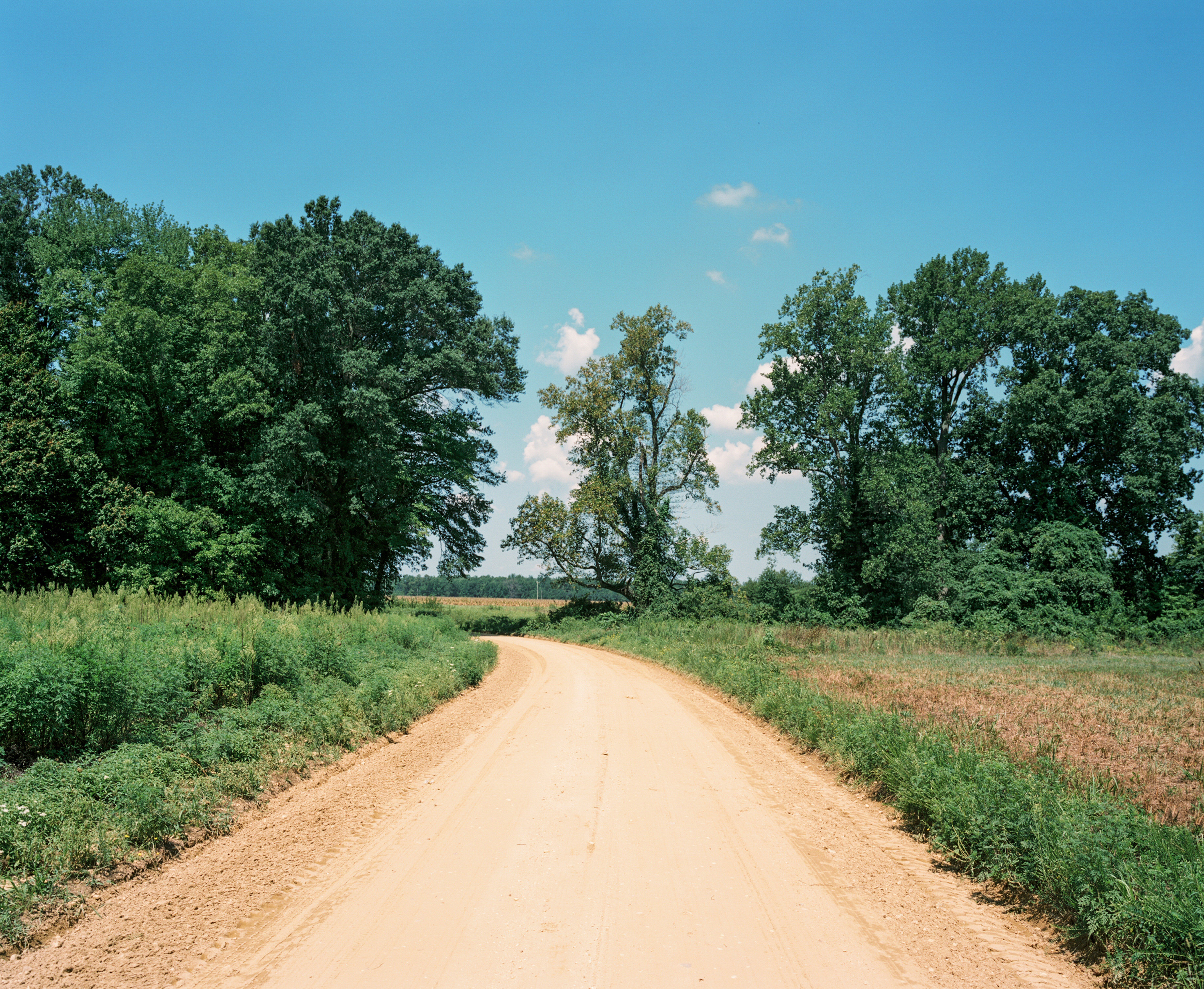 A dirt road in the countryside