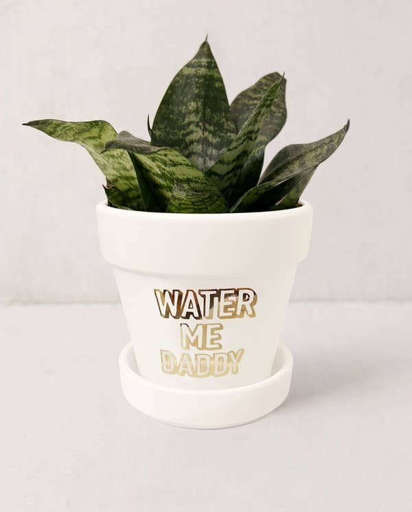The white planter that says &quot;water me daddy&quot; in gold foil font