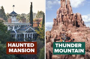 haunted mansion on the left and thunder mountain on the right