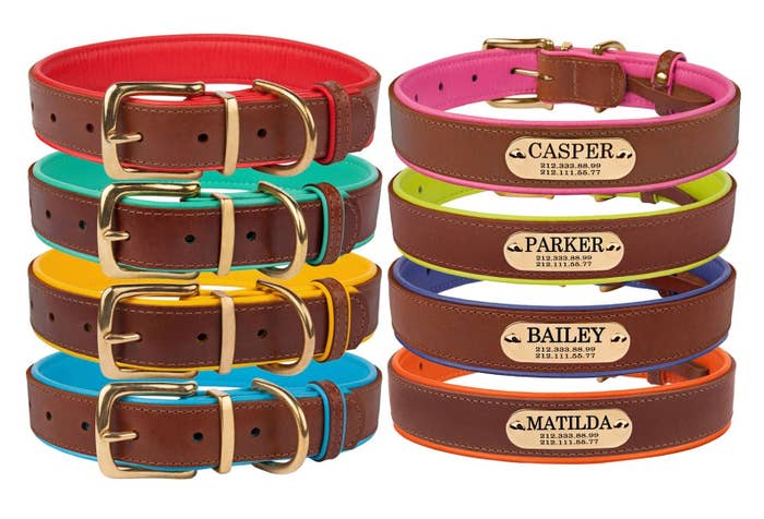 Four leather collars with different name engravings.