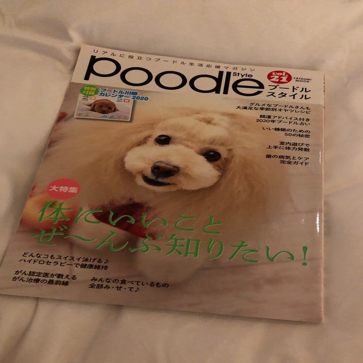 A poodle magazine.