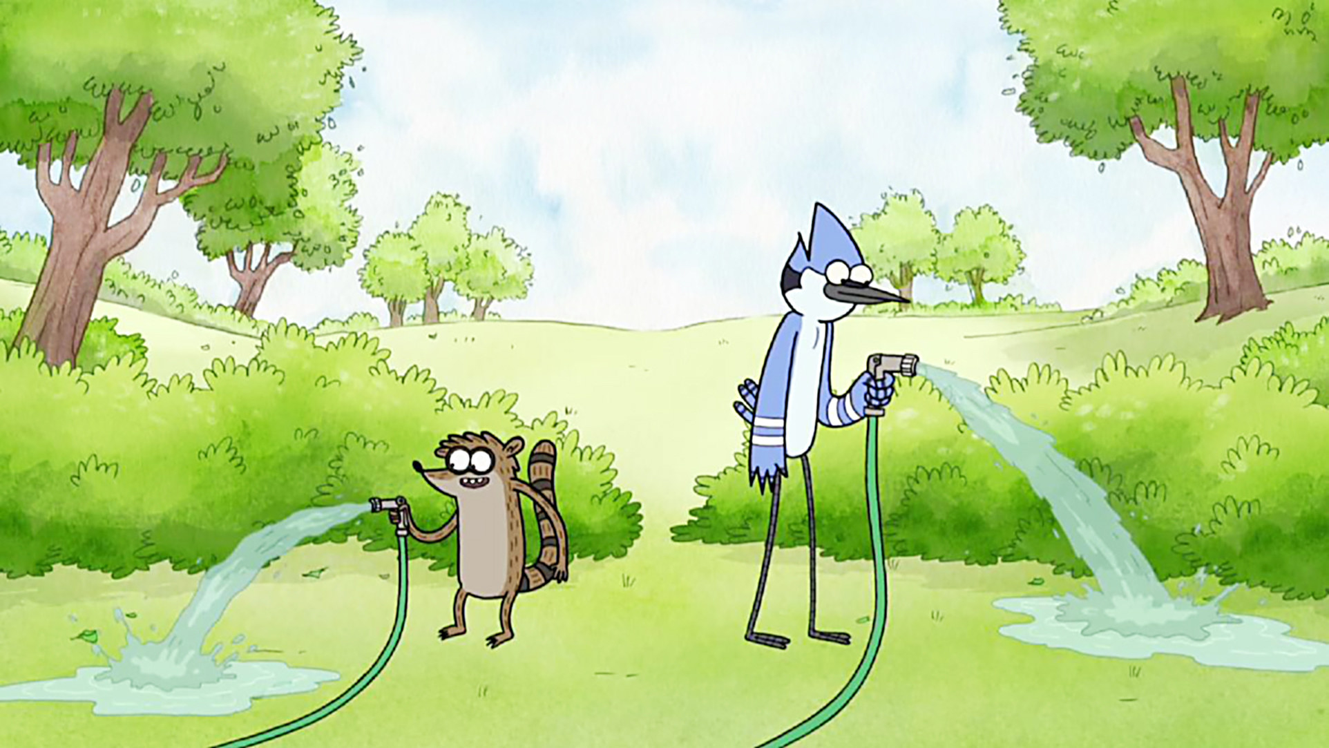 Rigby, a raccoon, and Mordecai, a blue bird, stand and water grass with a hose