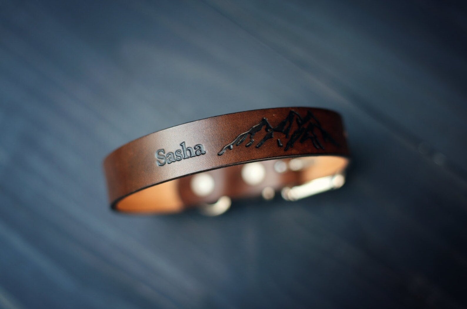 A leather collar with an engraved name and drawing.
