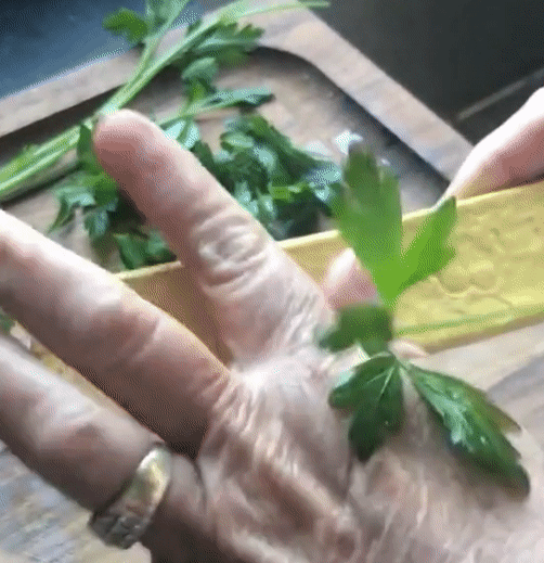 GIF showing someone using the herb leaf remover to take leaves off a sprig of parsley