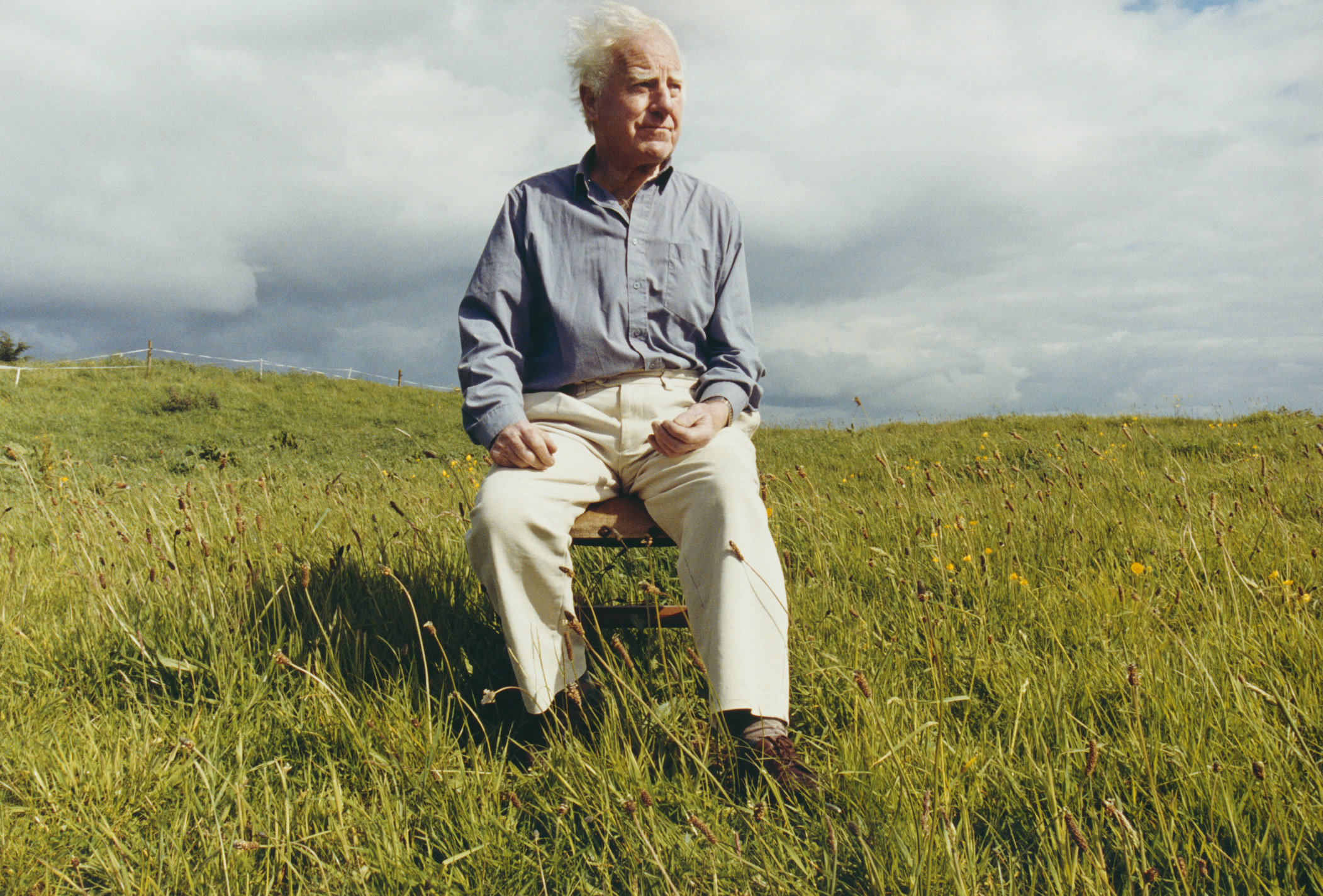 An elderly man with white hair sits in the middle of a green field