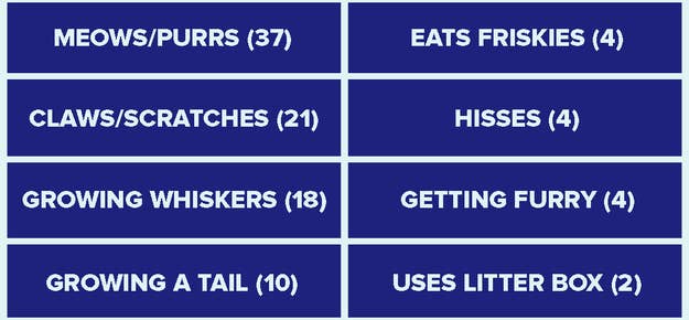 Google Feud!!!! w/ ThisCatGotGame 