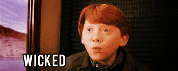 Ron on the Hogwarts Express saying  &quot;Wicked&quot;