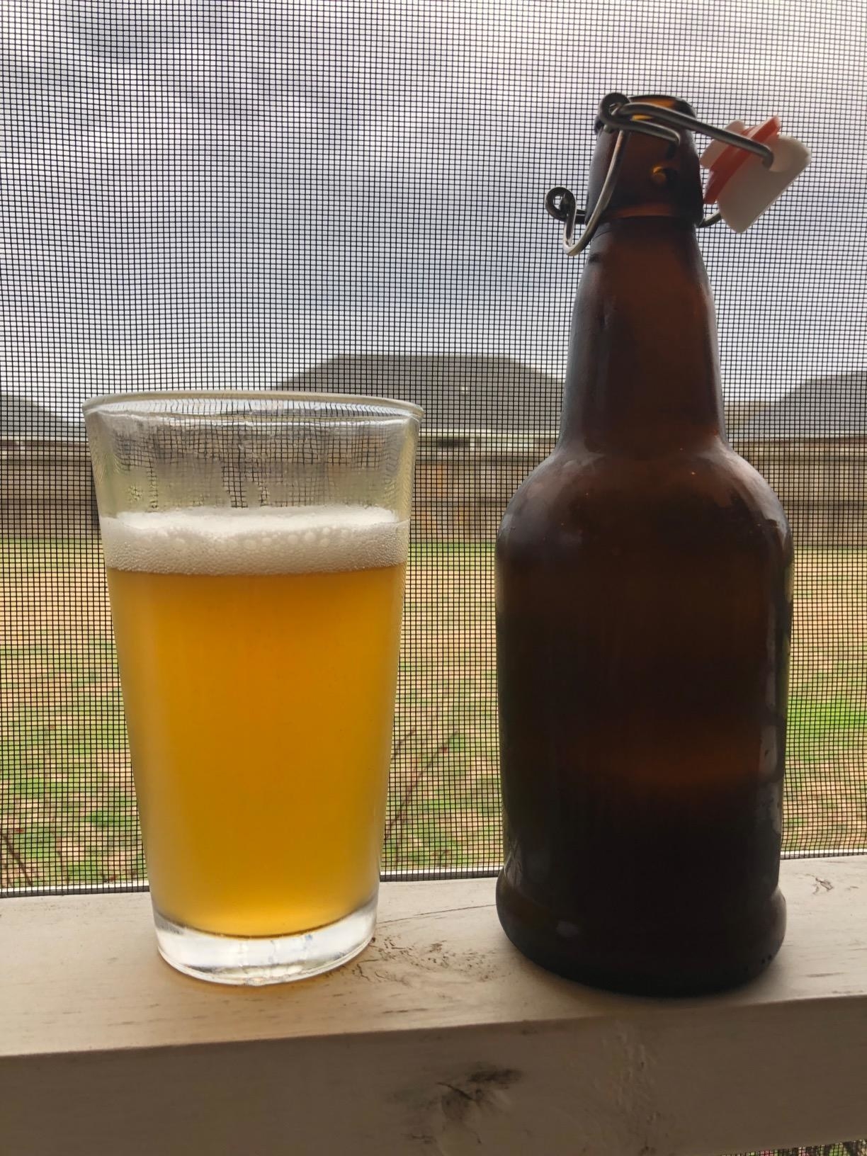 reviewer image of a glass of home brewed IPA