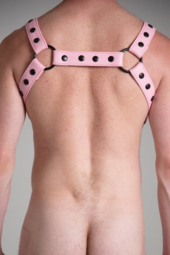 View of harness from the back