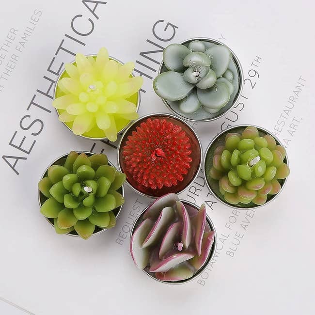votive candles that look like succulents