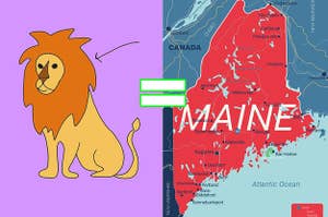 A lion with an arrow pointing to the mane with an equals sign and the state of Maine