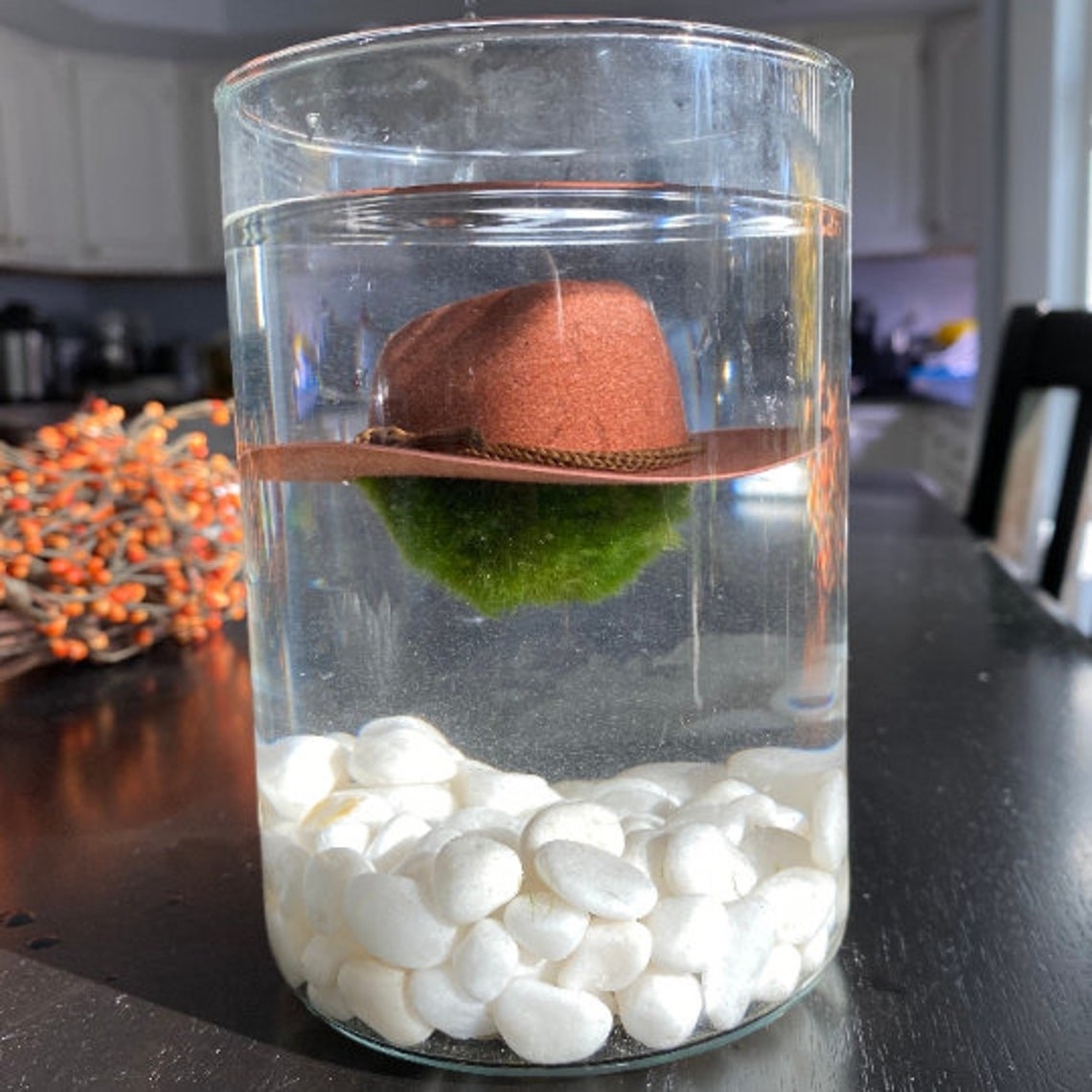 floating moss ball with tiny cowboy hat