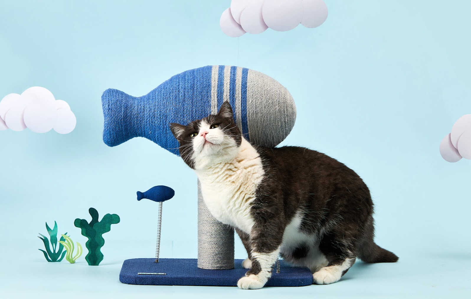 Cat playfully looks up while in front of scratching toy shaped like giant fish