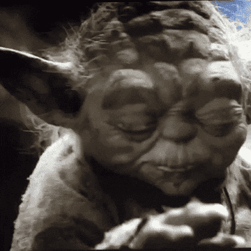 Yoda looking up calmly with caption: &quot;The Edible Just Hit&quot;