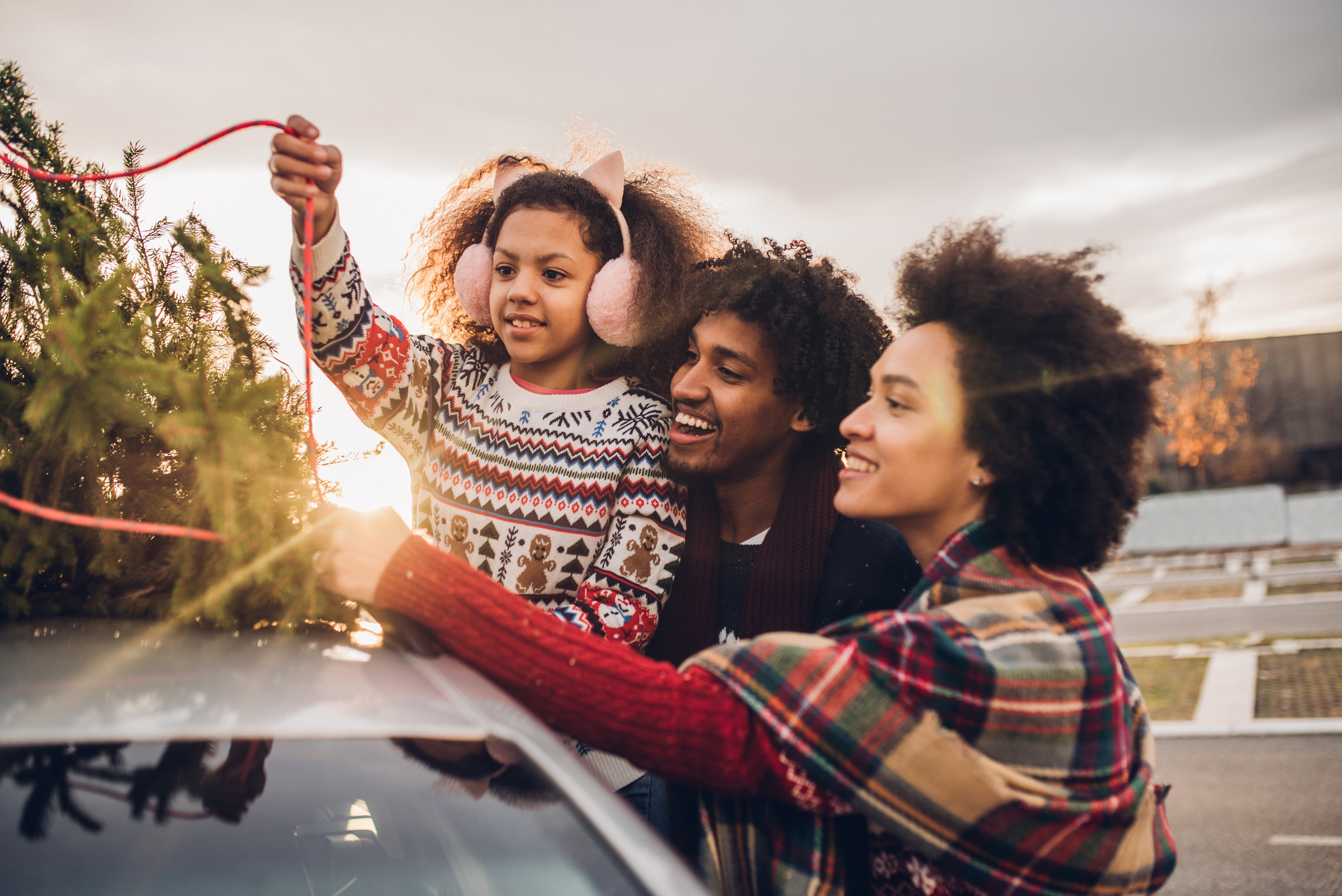 Family tying a tree to their car