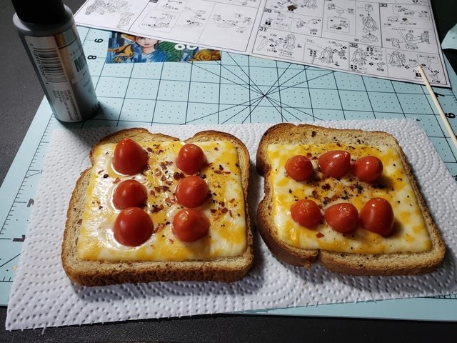 Toast topped with melted cheese and tomatoes.