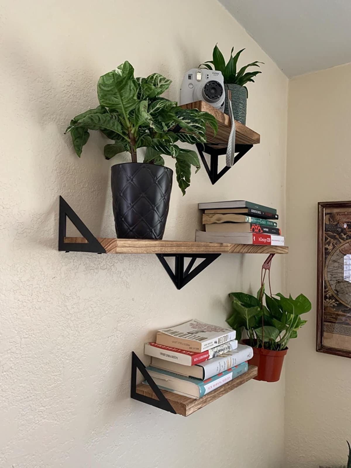 three of the wooden shelves hanging on the wall with books and plants on them