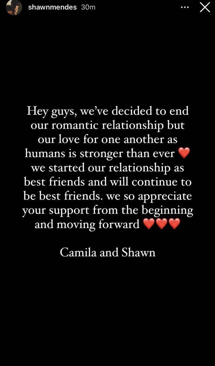 The statement shared on Mendes&#x27; Instagram