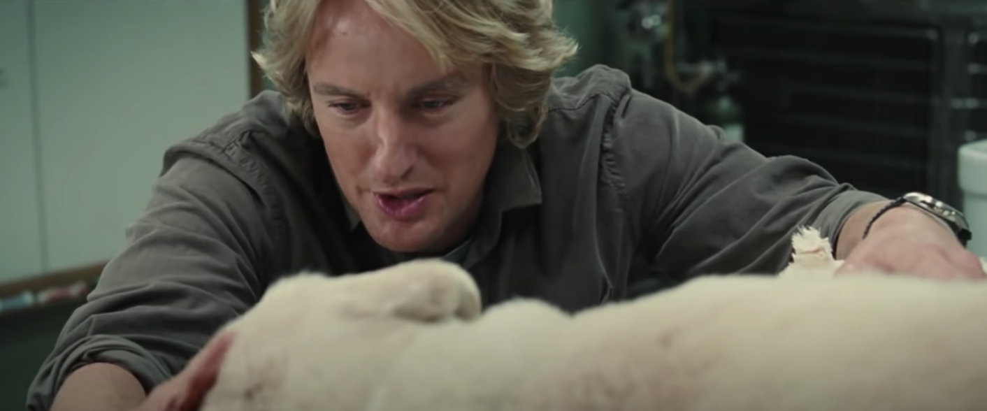 Screenshot from &quot;Marley &amp; Me&quot;