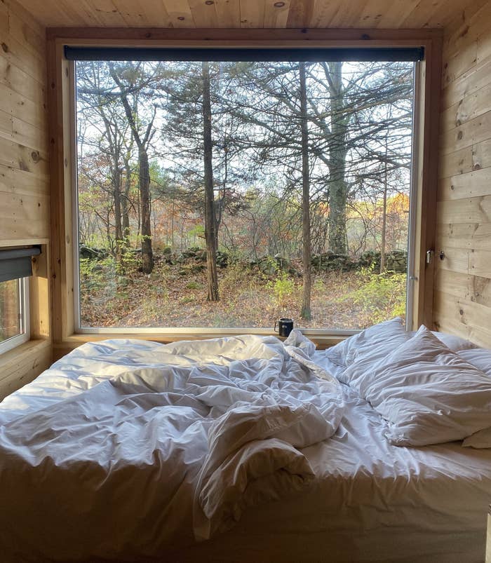 the window overlooking the forest