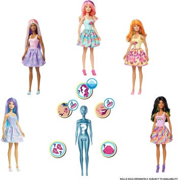 the various barbies you can get after the reveal