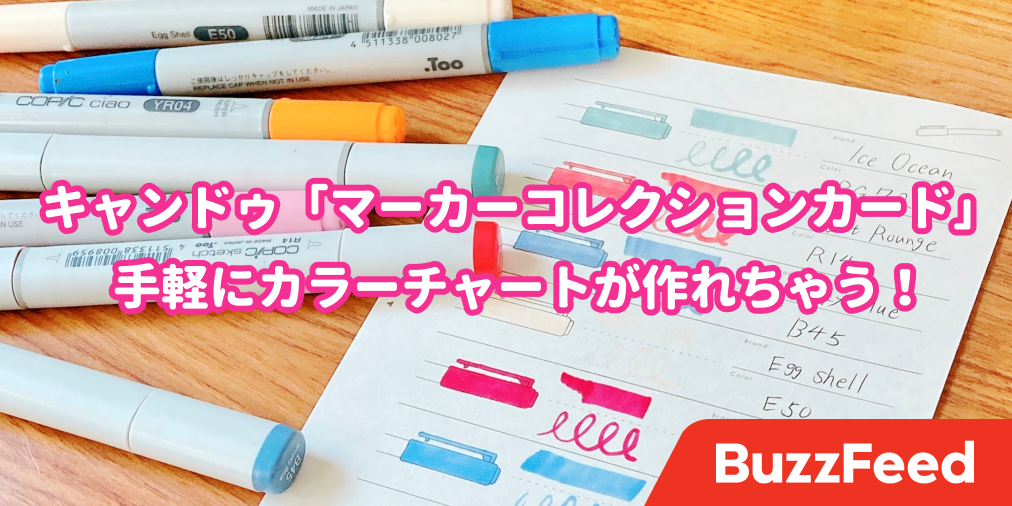 マニアックすぎて笑った キャンドゥに 文具好きの為の手帳 が売ってたんだけど