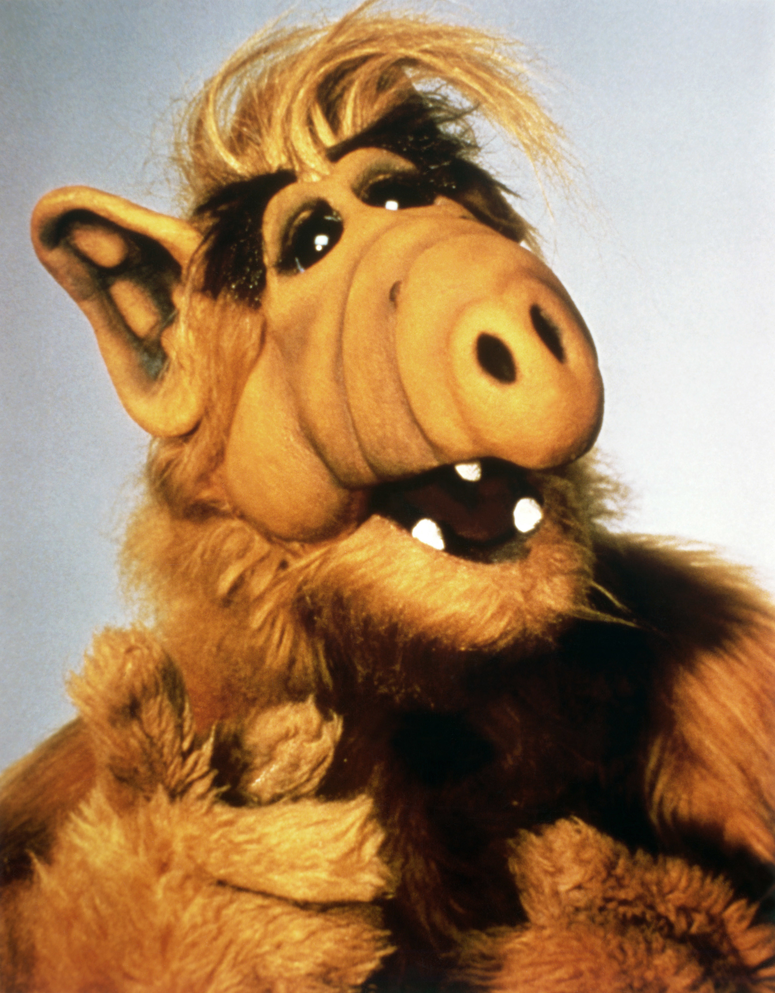 Photo of Alf pointing
