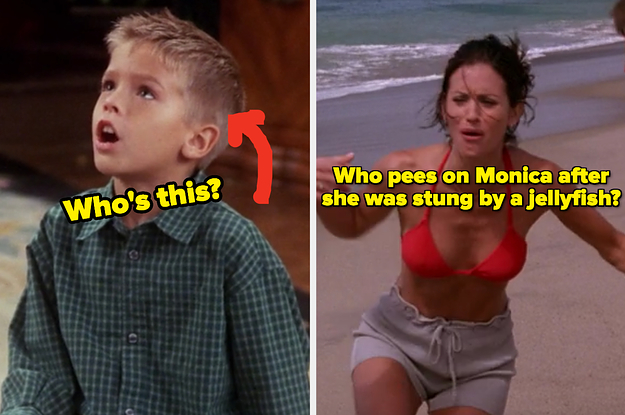 On the left, Ross's son from Friends with an arrow pointing to him and who's this typed under his face, and on the right, Monica on the beach hopping around labeled who pees on Monica after she was stung by a jellyfish