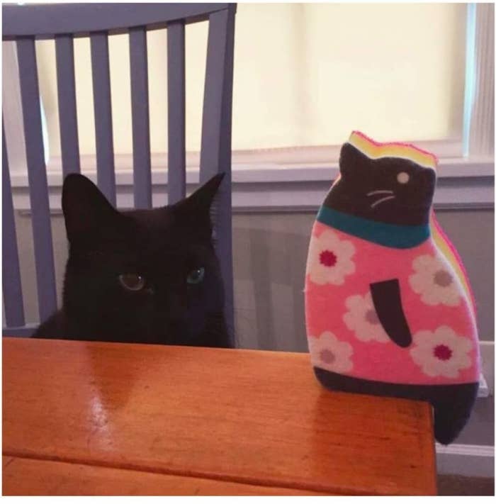 The cat shaped sponge sitting on the edge of a counter with an actual cat staring right at it