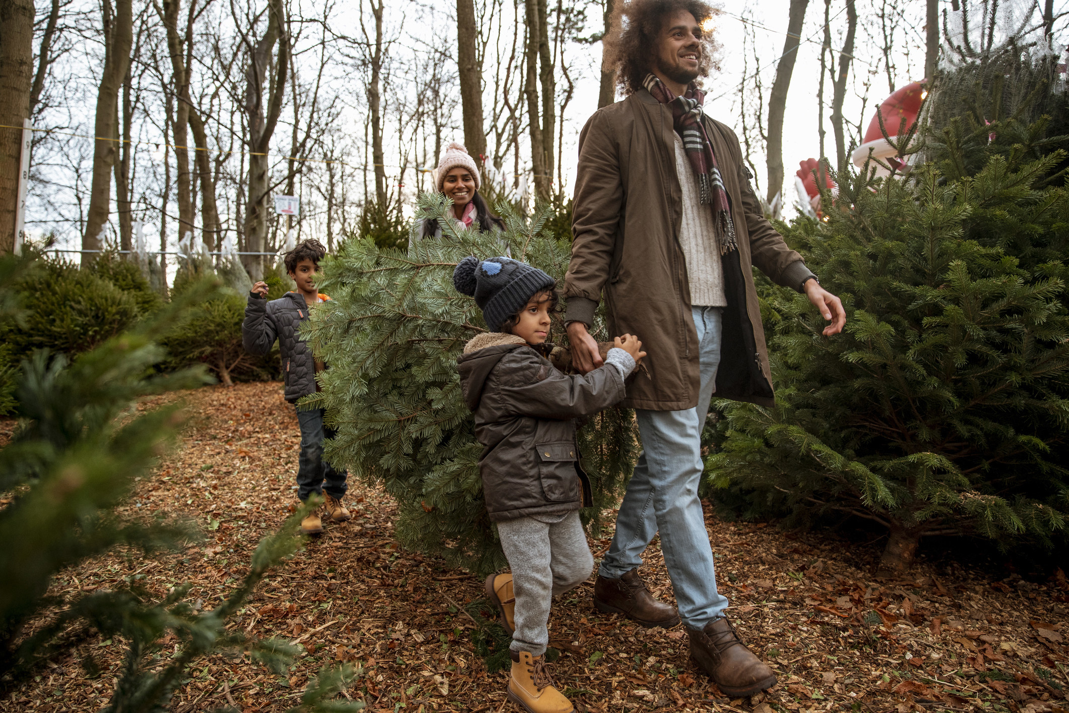 A family carries a Christmas tree at a tree farm.