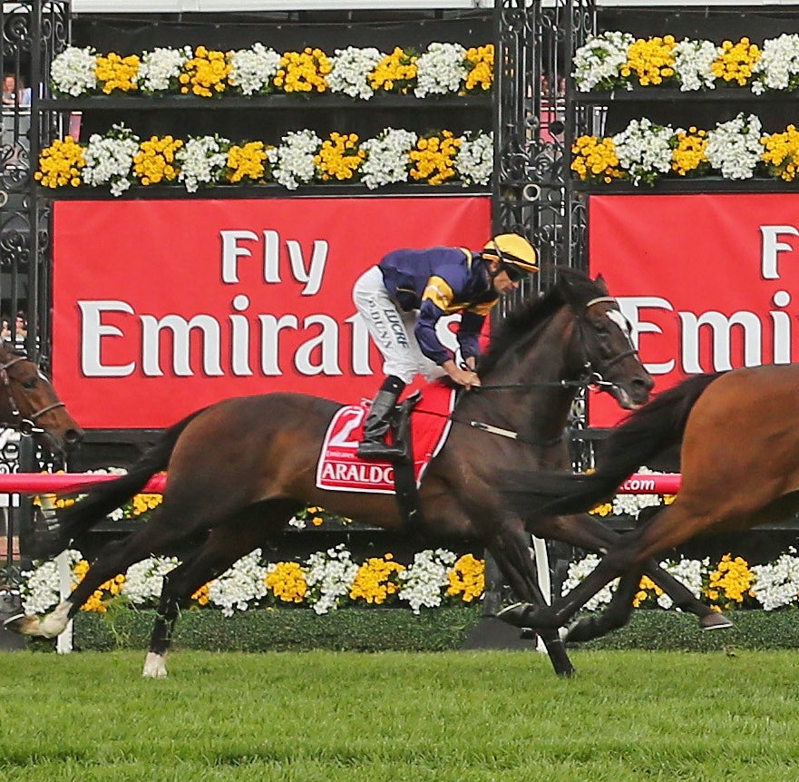 Dwayne Dunn riding Araldo finishes 7th in race 7 the Emirates Melbourne Cup on Melbourne Cup Day at Flemington Racecourse on November 4, 2014 in Melbourne, Australia.
