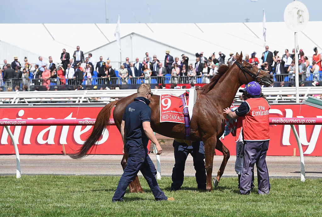 Red Cadeaux is seen after pulling up injured in race 7, the Emirates Melbourne Cup on Melbourne Cup Day